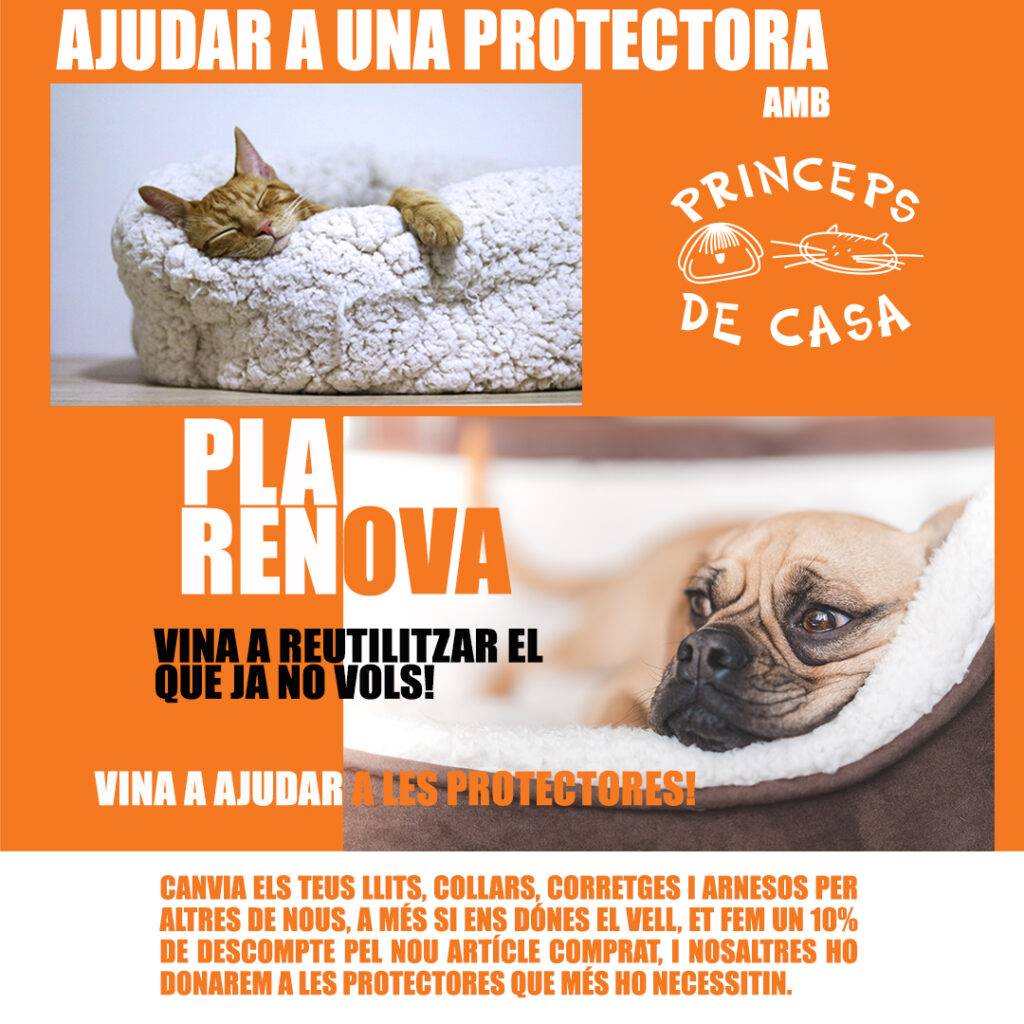 Ayuda a una protectora