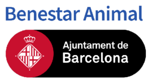 ajuntament de Barcelona